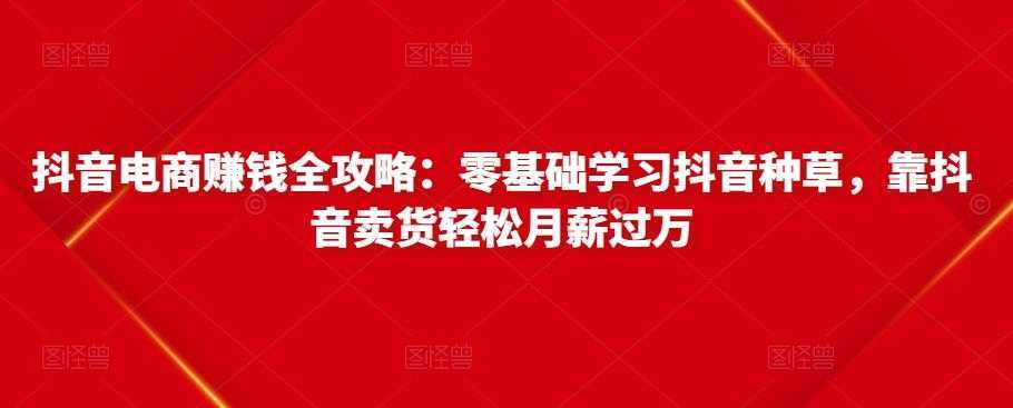 抖音电商赚钱全攻略：零基础学习抖音种草，靠抖音卖货轻松月薪过万-全网VIP网赚项目资源网_会员赚钱大全_中创网_福缘网_冒泡网