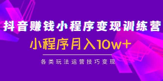 抖音赚钱小程序变现训练营：小程序月入10w+各类玩法运营技巧变现-全网VIP网赚项目资源网_会员赚钱大全_中创网_福缘网_冒泡网