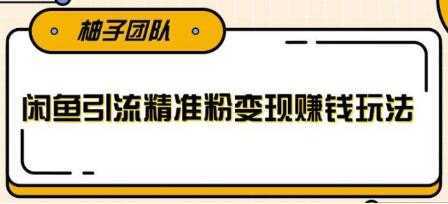 闲鱼引流精准粉变现赚钱玩法，每天可以引流精准粉100+-全网VIP网赚项目资源网_会员赚钱大全_中创网_福缘网_冒泡网