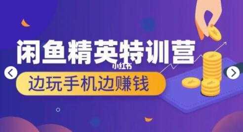 翼牛学堂 闲鱼项目精英特训营培训视频，月光族上班族的闲鱼赚钱课程-全网VIP网赚项目资源网_会员赚钱大全_中创网_福缘网_冒泡网