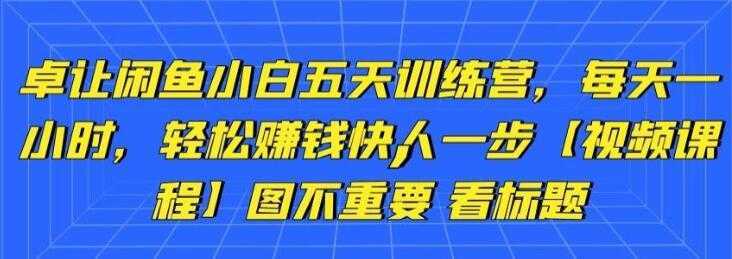 卓让《闲鱼项目小白五天训练营》每天一小时，轻松赚钱快人一步-全网VIP网赚项目资源网_会员赚钱大全_中创网_福缘网_冒泡网