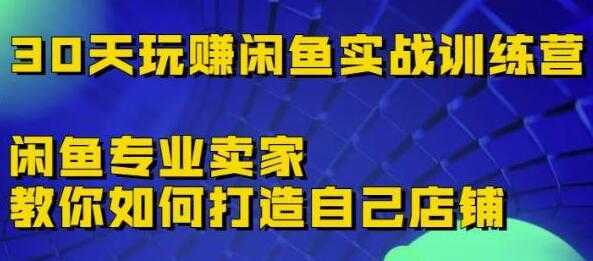 《30天玩赚闲鱼实战训练营》闲鱼专业卖家教你如何打造自己店铺-全网VIP网赚项目资源网_会员赚钱大全_中创网_福缘网_冒泡网