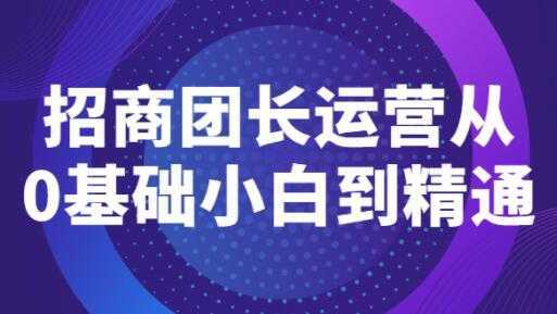 《招商团长运营》从0基础小白到精通-全网VIP网赚项目资源网_会员赚钱大全_中创网_福缘网_冒泡网