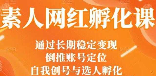 马大个《素人网红孵化课》通过长期稳定变现，自我创号与选人孵化-全网VIP网赚项目资源网_会员赚钱大全_中创网_福缘网_冒泡网