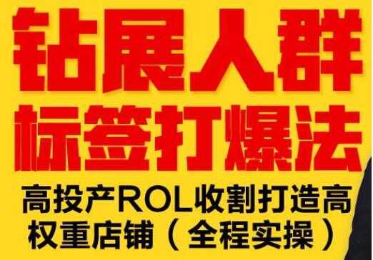 逐鹿《淘宝钻展人群标签打爆法》高投产ROL收割打造高权重店铺(全程实操)-全网VIP网赚项目资源网_会员赚钱大全_中创网_福缘网_冒泡网