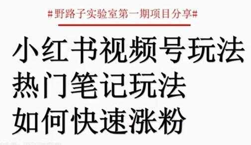 小红书视频号项目，直接上手操作，月入过万-全网VIP网赚项目资源网_会员赚钱大全_中创网_福缘网_冒泡网