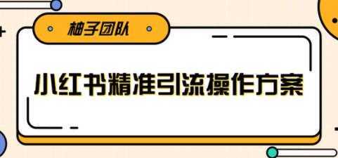 小红书精准引流操作方案，能够直接落地实操引流技术-全网VIP网赚项目资源网_会员赚钱大全_中创网_福缘网_冒泡网