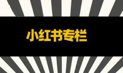 品牌医生《小红书全链营销干货》5个起盘案例，营销策略规划，避坑指南-全网VIP网赚项目资源网_会员赚钱大全_中创网_福缘网_冒泡网