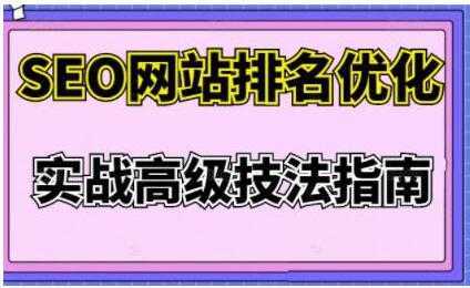 樊天华《SEO网站排名优化》实战高级技法指南-全网VIP网赚项目资源网_会员赚钱大全_中创网_福缘网_冒泡网