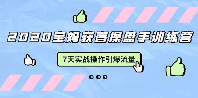 2020宝妈获客操盘手训练营：7天实战操作引爆 母婴、都市、购物宝妈流量-全网VIP网赚项目资源网_会员赚钱大全_中创网_福缘网_冒泡网