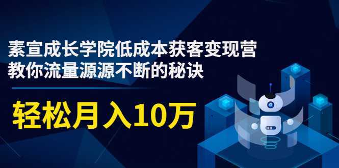 素宣成长学院低成本获客变现营，教你流量源源不断的秘诀，轻松月入10万-全网VIP网赚项目资源网_会员赚钱大全_中创网_福缘网_冒泡网