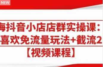 大海抖音小店店群实操课：猜你喜欢免流量玩法+截流 2.0-全网VIP网赚项目资源网_会员赚钱大全_中创网_福缘网_冒泡网