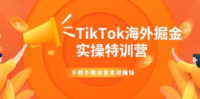 图片[1]-TikTok海外掘金实操特训营：手把手教运营变现赚钱-全网VIP网赚项目资源网_会员赚钱大全_中创网_福缘网_冒泡网