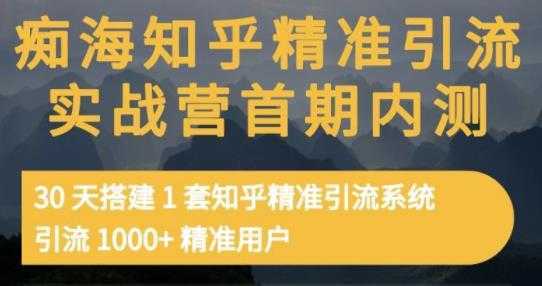 痴海知乎精准引流实战营1-2期，30天搭建1套知乎精准引流系统，引流1000+精准用户-全网VIP网赚项目资源网_会员赚钱大全_中创网_福缘网_冒泡网