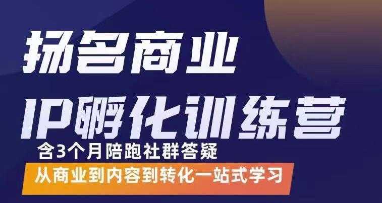 杨名商业IP孵化训练营，从商业到内容到转化一站式学 价值5980元-全网VIP网赚项目资源网_会员赚钱大全_中创网_福缘网_冒泡网