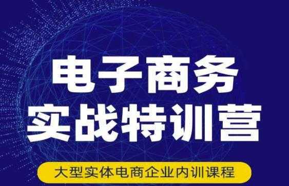 民赛电气内部出品：电子商务实战特训营，全方位带你入门电商，308种方式玩转电商-全网VIP网赚项目资源网_会员赚钱大全_中创网_福缘网_冒泡网