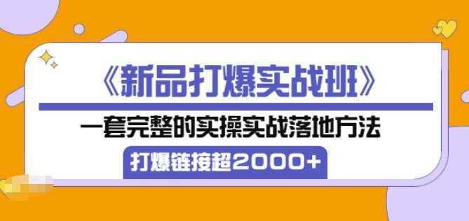 凌童《新品打爆实战班》,一套完整的实操实战落地方法，打爆链接超2000+（28节课)-全网VIP网赚项目资源网_会员赚钱大全_中创网_福缘网_冒泡网