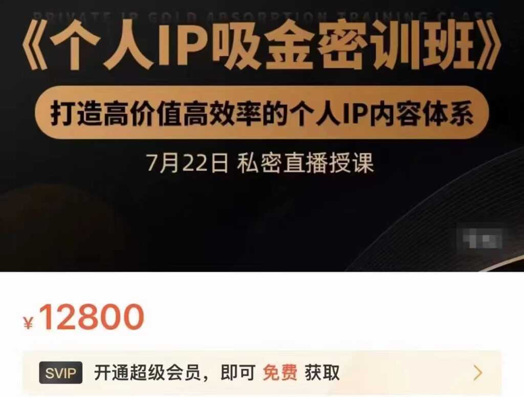 个人IP吸金密训班，打造高价值高效率的个人IP内容体系（价值12800元）-全网VIP网赚项目资源网_会员赚钱大全_中创网_福缘网_冒泡网