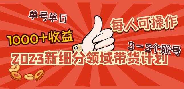 2023新细分领域带货计划：单号单日1000+收益不难，每人可操作3-5个账号-全网VIP网赚项目资源网_会员赚钱大全_中创网_福缘网_冒泡网