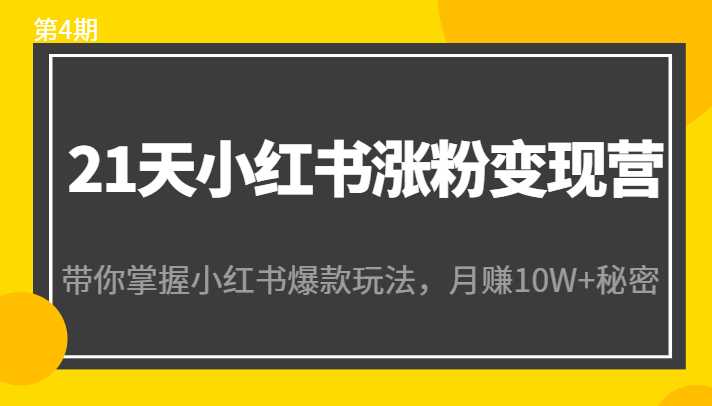 21天小红书涨粉变现营（第4期）：带你掌握小红书爆款玩法，月赚10W+秘密-全网VIP网赚项目资源网_会员赚钱大全_中创网_福缘网_冒泡网