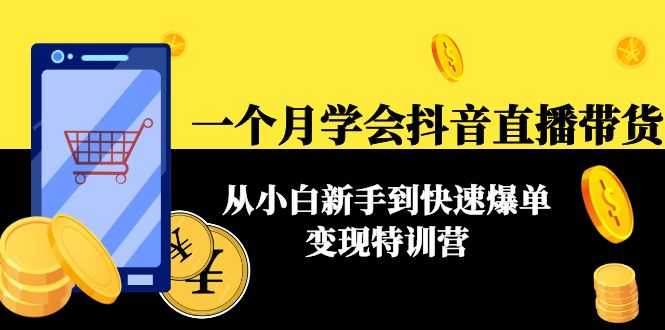 一个月学会抖音直播带货：从小白新手到快速爆单变现特训营(63节课)-全网VIP网赚项目资源网_会员赚钱大全_中创网_福缘网_冒泡网