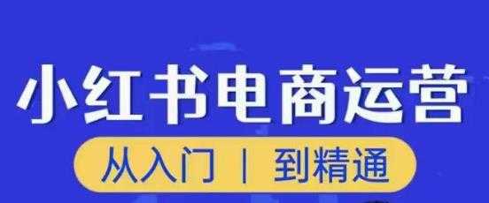 图片[1]-顽石小红书电商高阶运营课程，从入门到精通，玩法流程持续更新-全网VIP网赚项目资源网_会员赚钱大全_中创网_福缘网_冒泡网