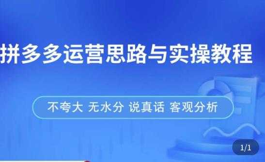 拼多多店铺运营思路与实操教程，快速学会拼多多开店和运营，少踩坑，多盈利-全网VIP网赚项目资源网_会员赚钱大全_中创网_福缘网_冒泡网