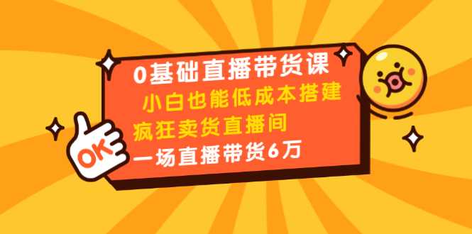 0基础直播带货课：小白也能低成本搭建疯狂卖货直播间：1场直播带货6万-全网VIP网赚项目资源网_会员赚钱大全_中创网_福缘网_冒泡网