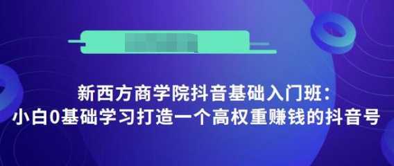 抖音基础入门班：小白0基础学习打造一个高权重赚钱的抖音号-全网VIP网赚项目资源网_会员赚钱大全_中创网_福缘网_冒泡网