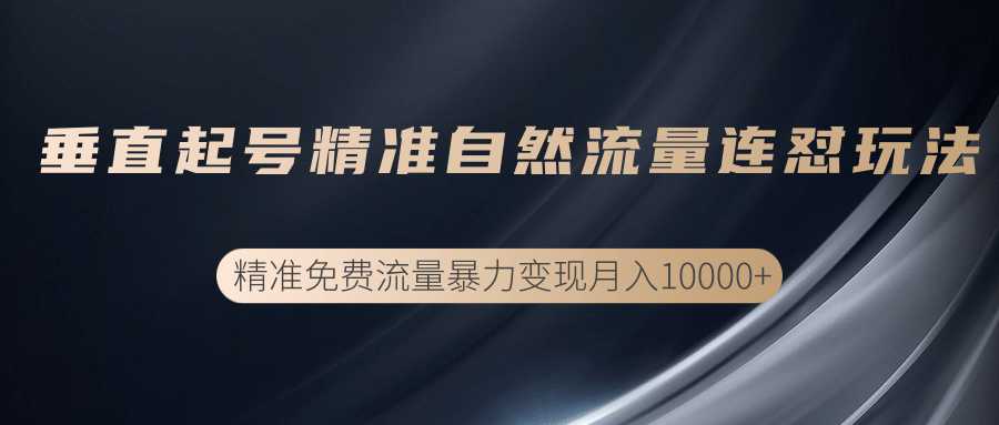 垂直起号精准自然流量连爆玩法，精准引流暴力变现月入10000+-全网VIP网赚项目资源网_会员赚钱大全_中创网_福缘网_冒泡网